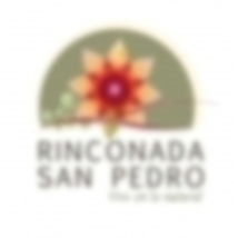 Inmobiliaria San Pedro.