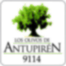 Los Olivos de Antupirén