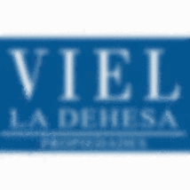 Viel  Propiedades