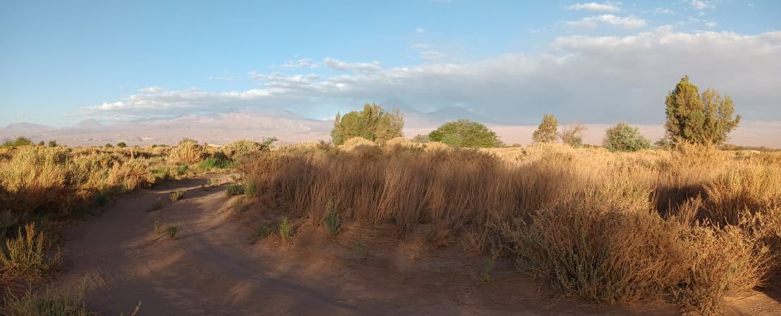 Parcela o Chacra en Venta en San Pedro De Atacama / Vivax Propiedades